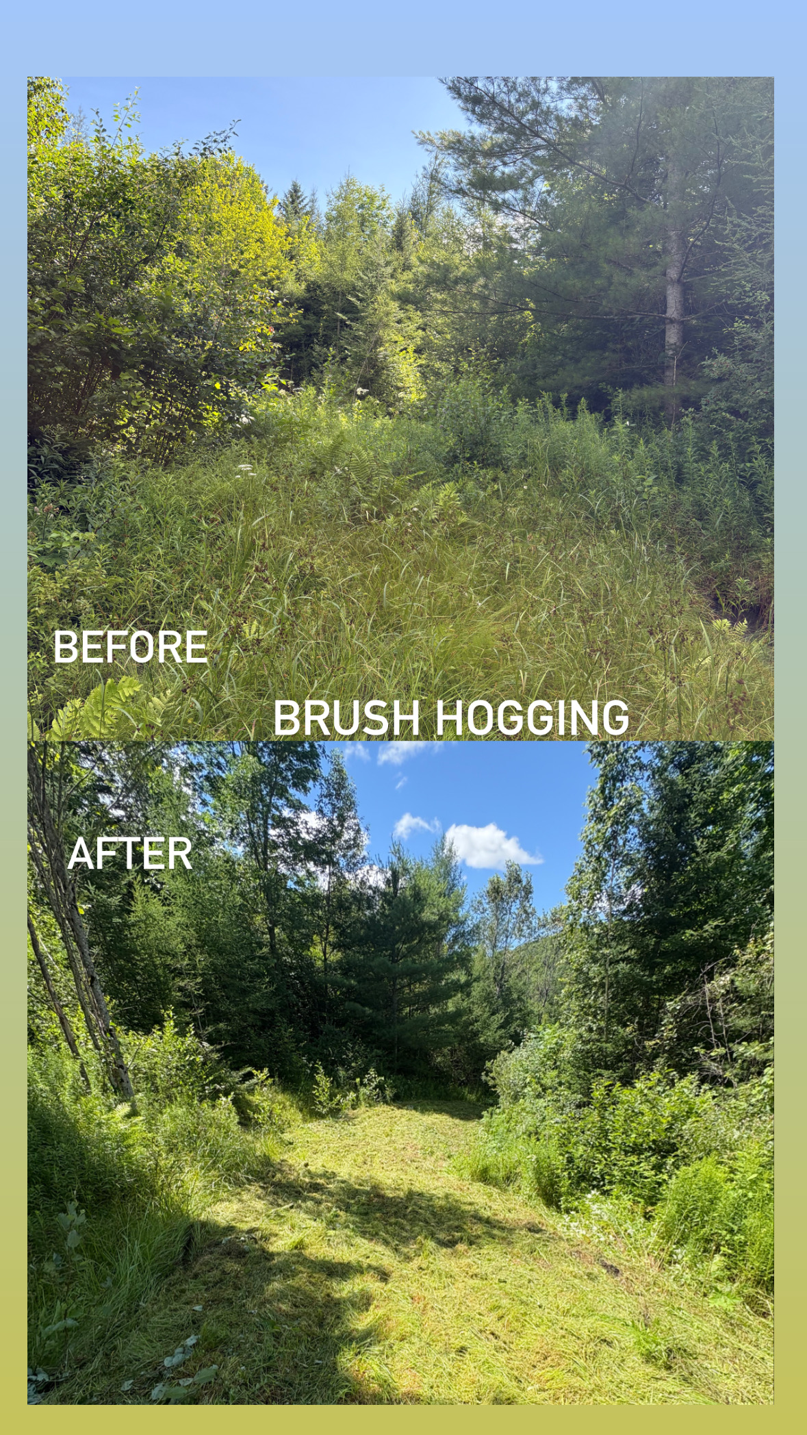 Brush Hog Before and After
