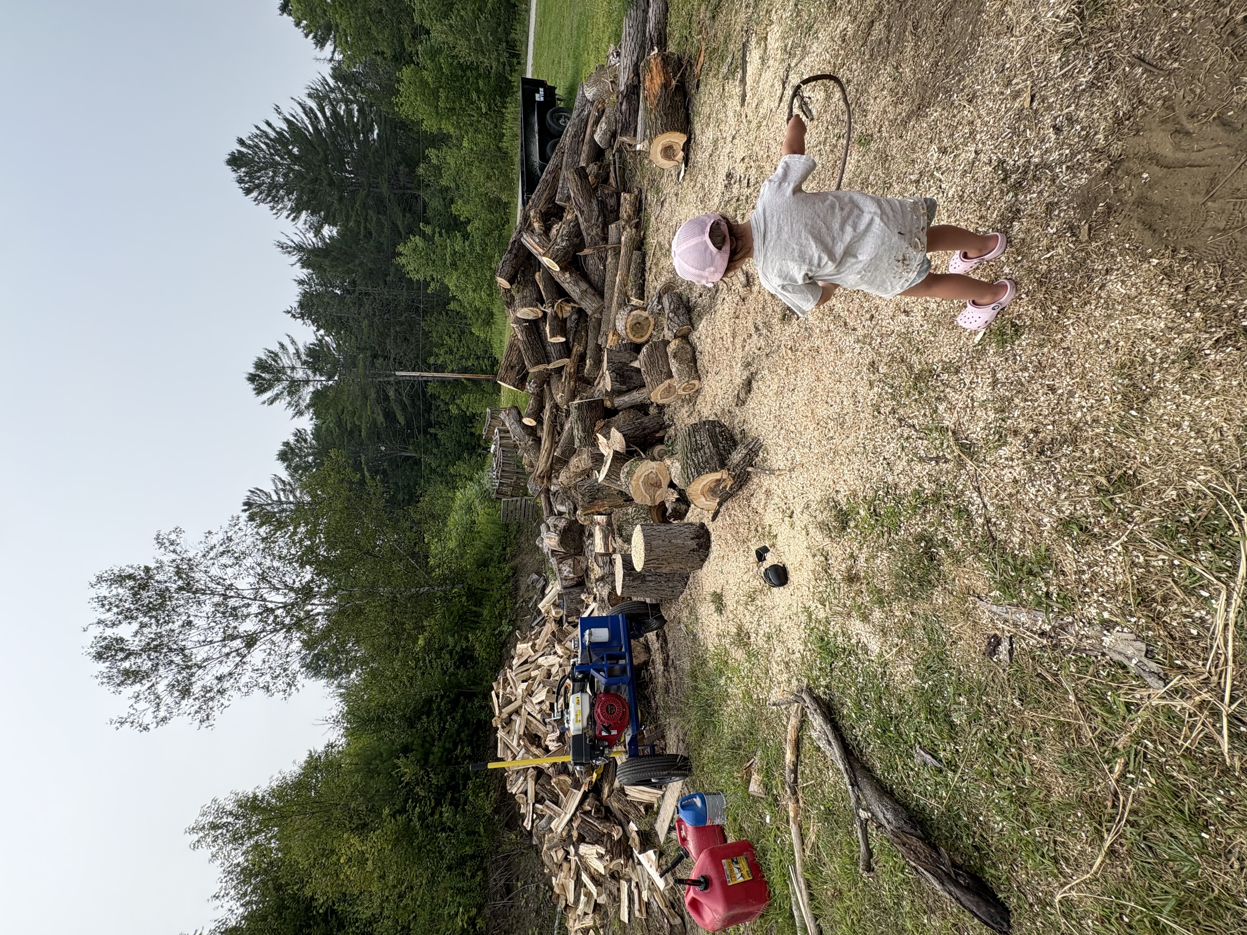 Firewood